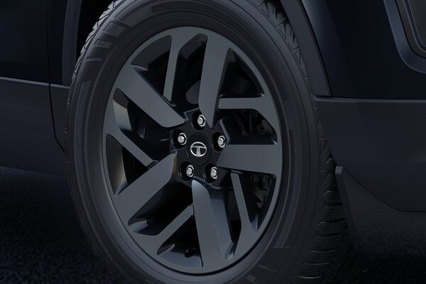 slider-image