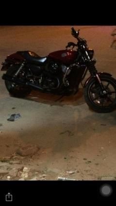 Used Harley-Davidson Street 750 2014