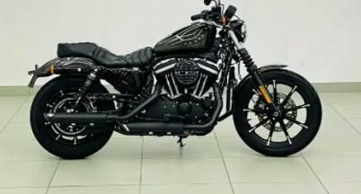 Used Harley-Davidson Iron 883 2020