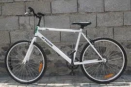X Bicycle Optimus 24 2015