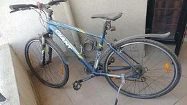 Giant Roam 3 Disc L 2018