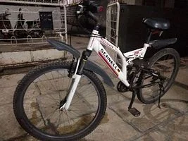 Schnell Sport 20” 2018
