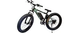 Raft Tron S250 36V 5.2AH 2022