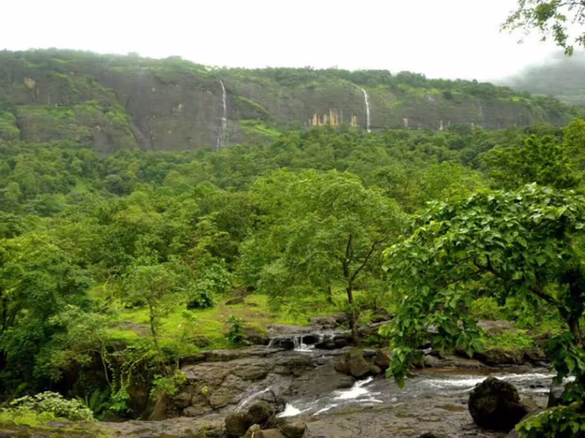 Bhimashankar Wildlife Sanctuary