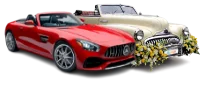 alert banner