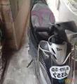 TVS Scooty Pep Plus 100 cc 2006