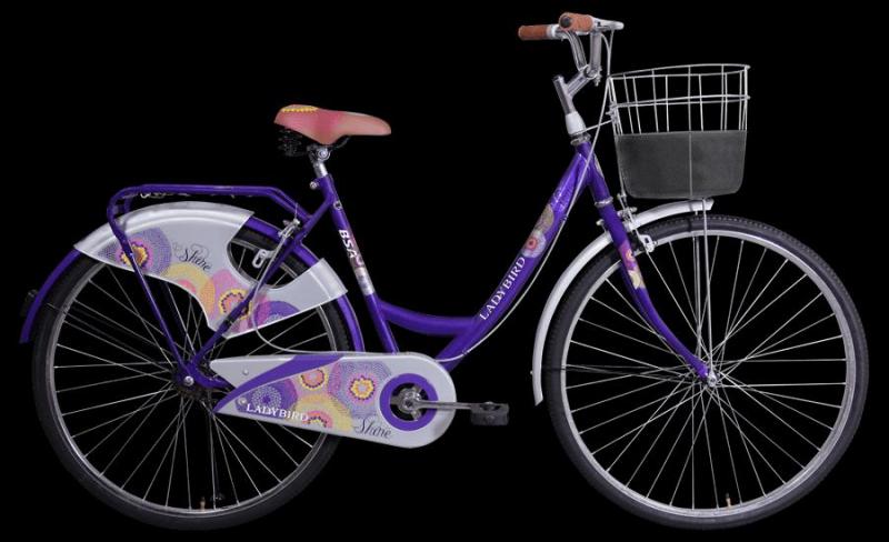 bsa ladybird shine price