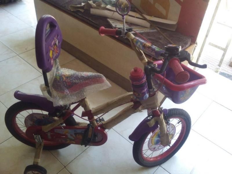 bsa dora cycle