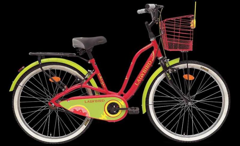 bsa ladybird 24 inch