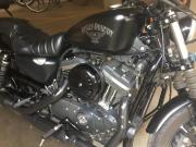 Harley-Davidson Iron 883 2017