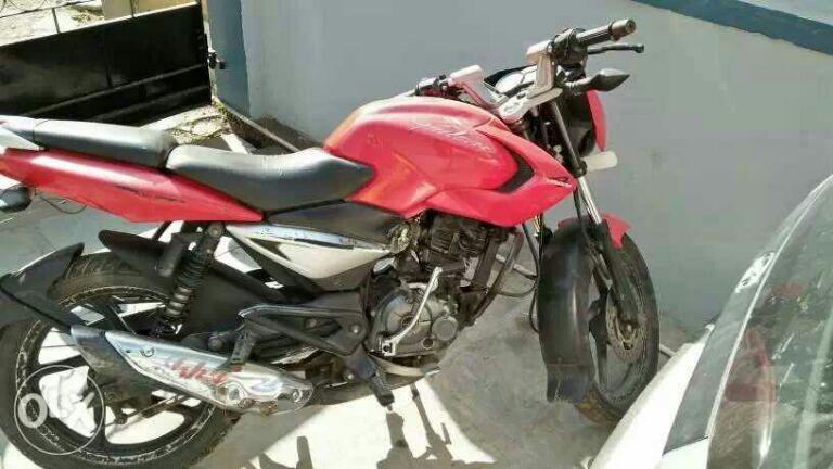 pulsar 135 old
