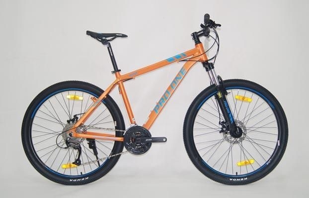 pro one bikes