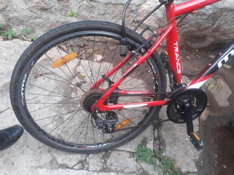 montra trance pro d