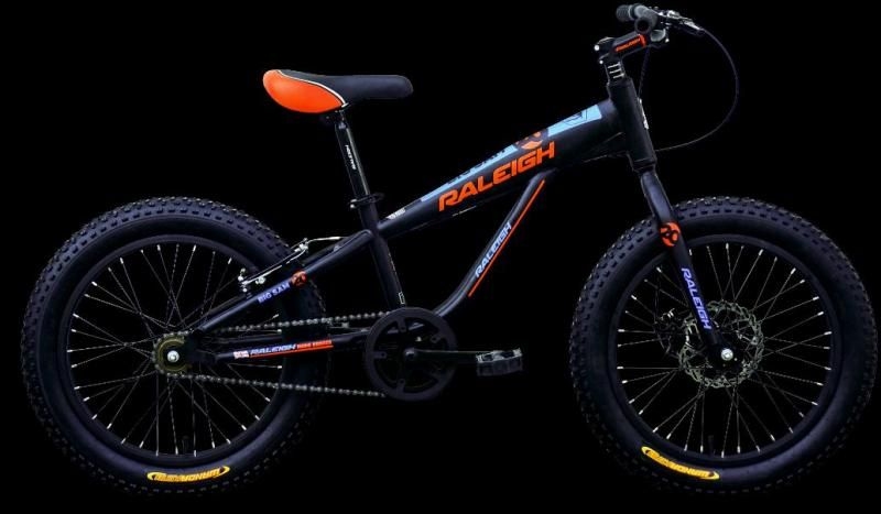 raleigh big sam fat bike price