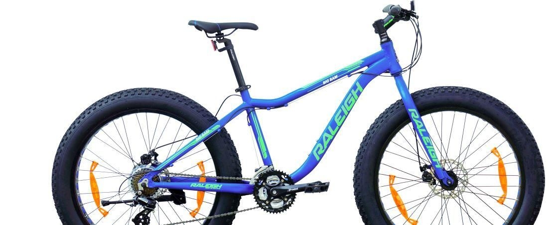 raleigh big sam fat bike price