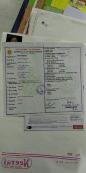 Fiat Punto Active 1.3 2014