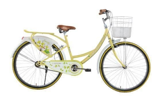 ladybird bicycle
