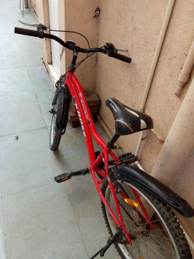 kross cycle spider