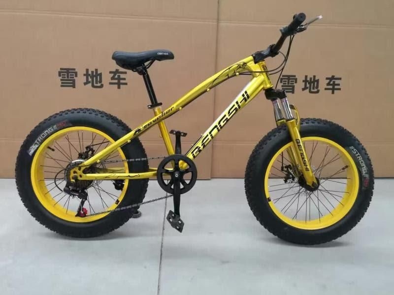 bengshi fat tyre cycle