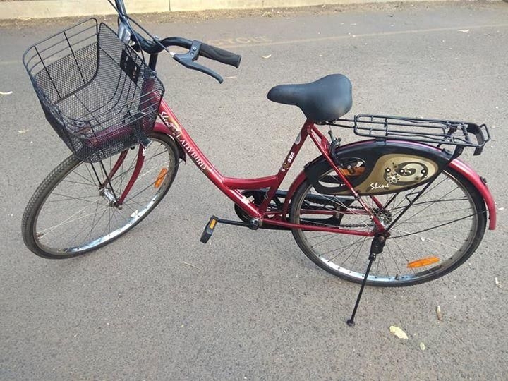 bsa ladybird shine