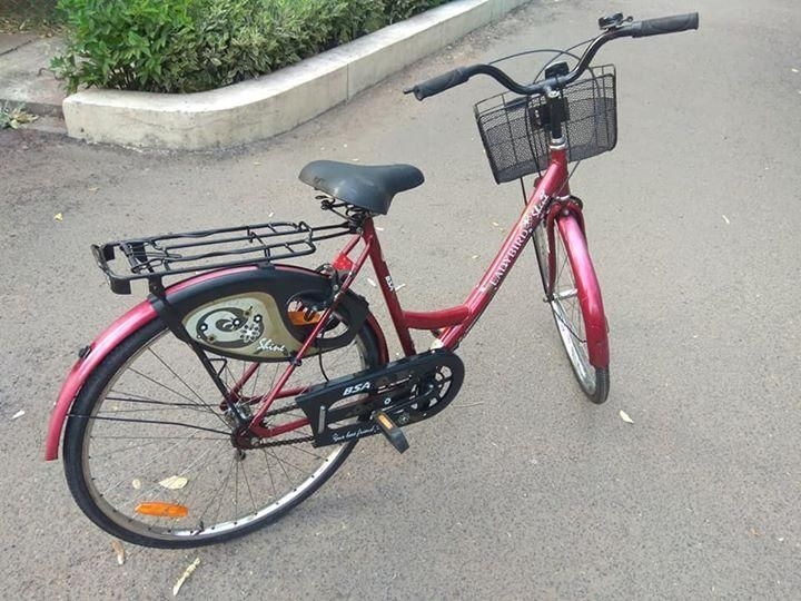 lady bird cycle photo