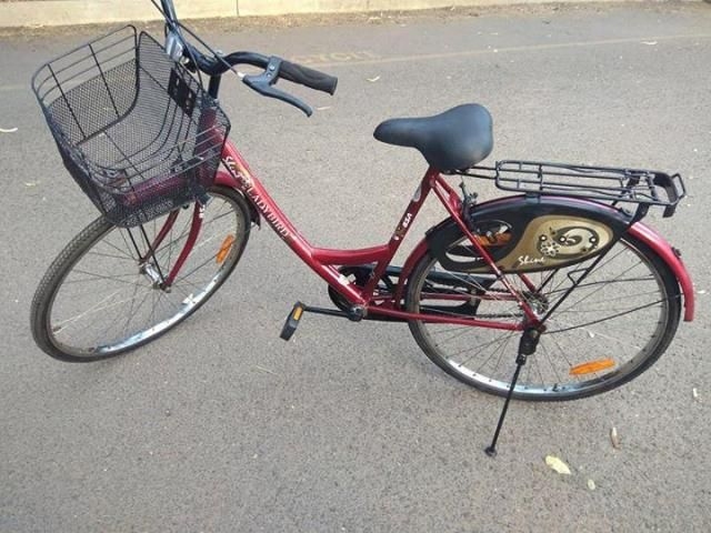 ladybird bicycle