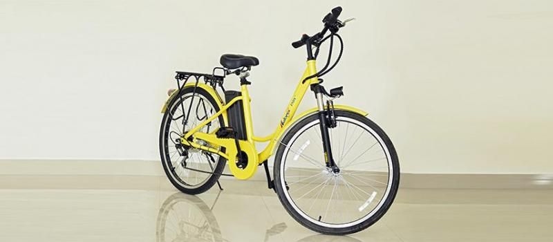 autonix electric bicycle