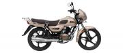 TVS Radeon 110cc Drum 2022
