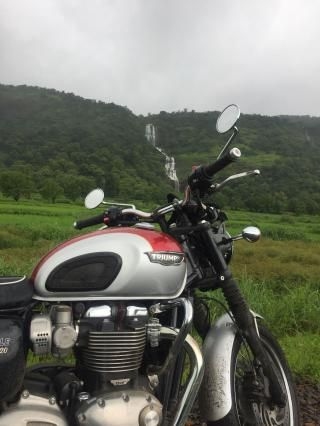 olx triumph tiger