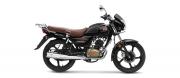 TVS Radeon 110cc Drum 2022