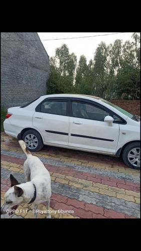 Honda City ZX i-VTEC 2007