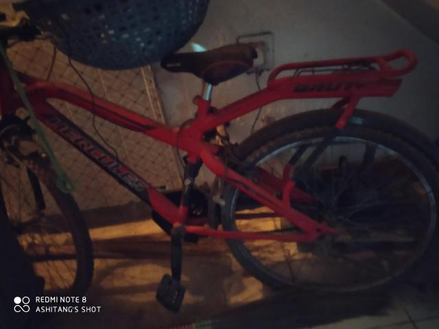 skyang alpha cycles price