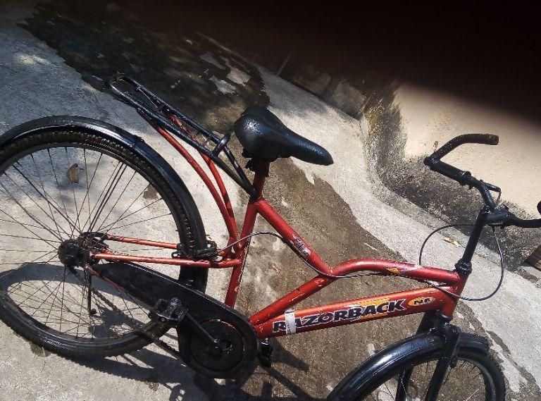 universal razorback bike