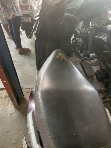 Mahindra Gusto 110cc DX 2015