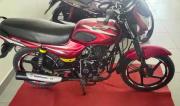 Bajaj CT 100 100cc 2019
