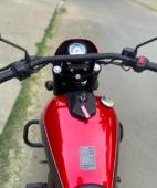 UM Renegade Sport S 2017