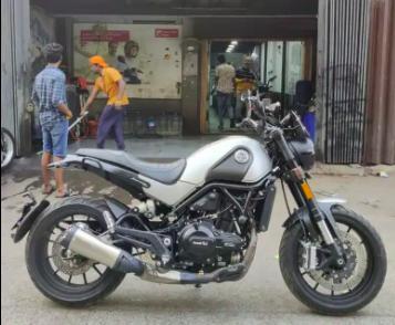 benelli leoncino 500cc 2020