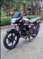 Honda CB Shine 125cc 2017