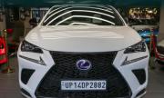 Lexus NX 300H F-Sport 2018