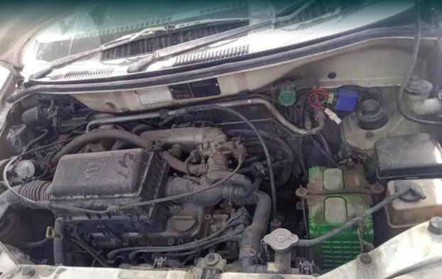 Hyundai Santro Xing GLS CNG 2009