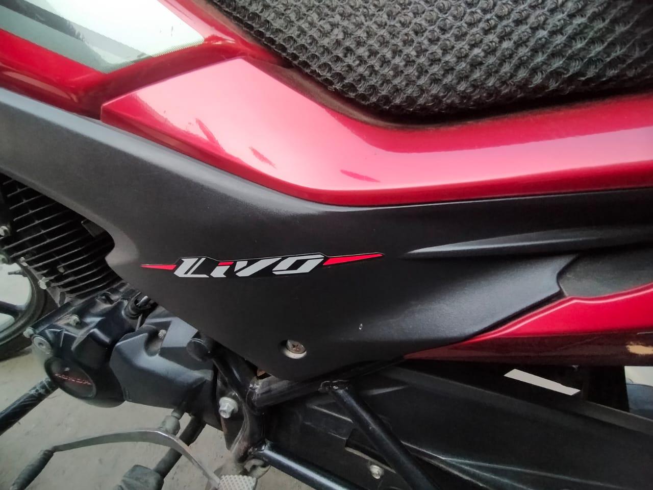 Honda Livo 110cc 2019