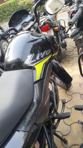 Honda Livo 110cc 2019