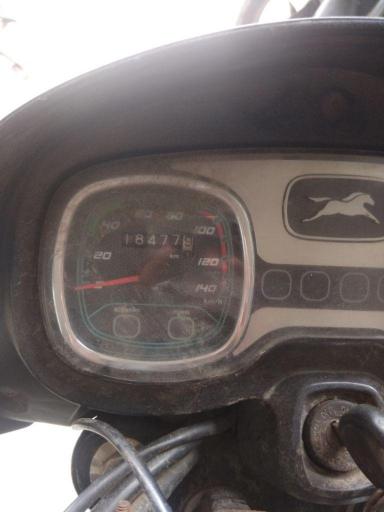 TVS Radeon 110cc Drum SBT 2019