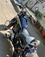 Harley-Davidson XL 1200 STD 2020