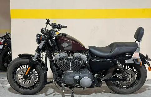 harley street rod 2019