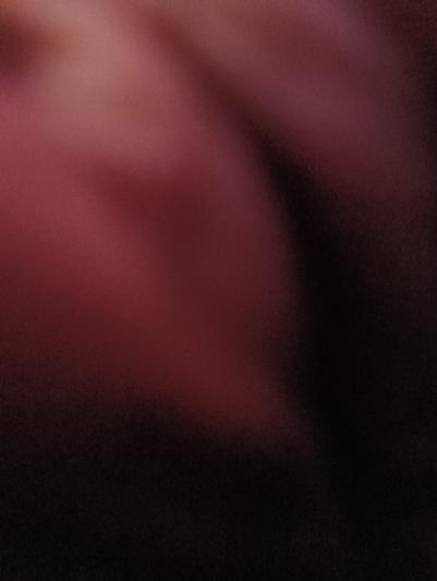 Honda Livo 110cc 2019