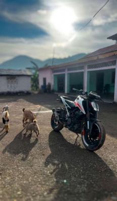 KTM Duke STD OBD 2B 2025