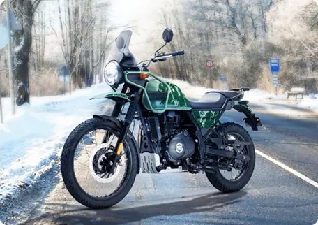 Himalayan
