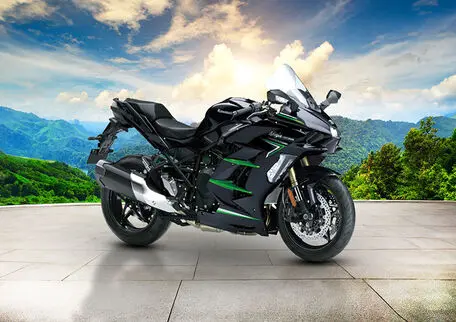 Ninja H2 SX