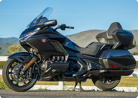 Gold Wing